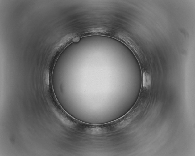 X0000113170253200909041328