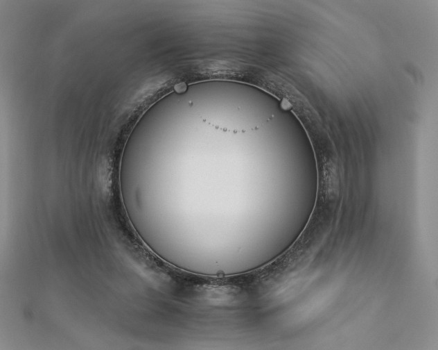 X0000113170255200909041328