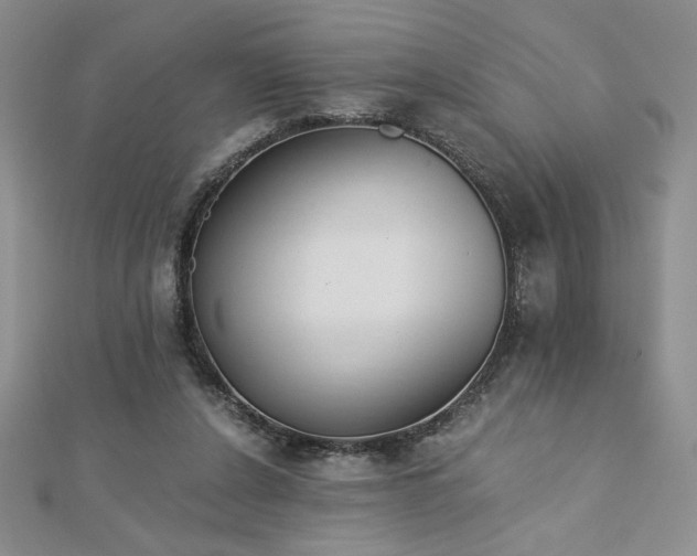 X0000113170256200909041328