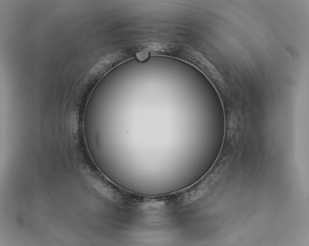 X0000113170257200909041328