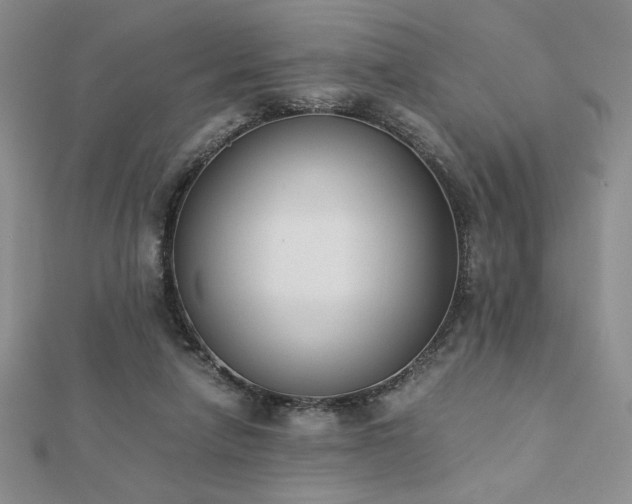 X0000113170258200909041328