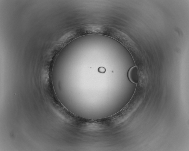 X0000113170259200909041328