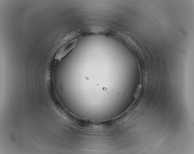 X0000113170260200909041328