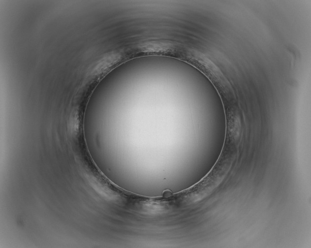 X0000113170261200909041328