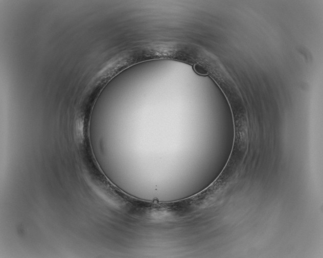 X0000113170262200909041328