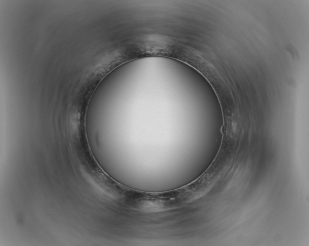 X0000113170263200909041328
