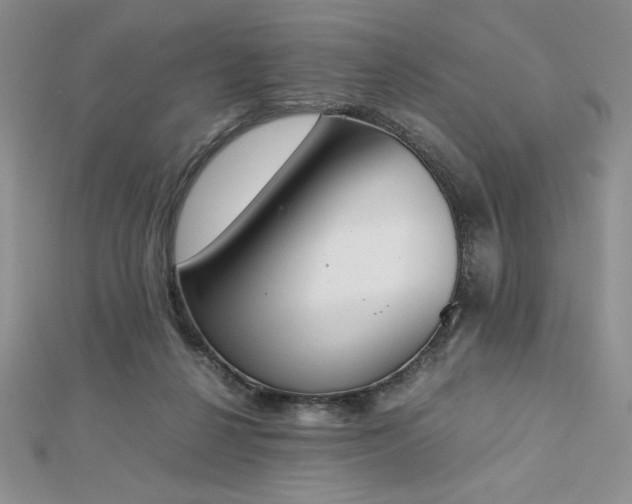 X0000113170264200909041328