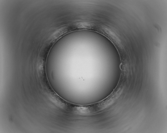 X0000113170265200909041328