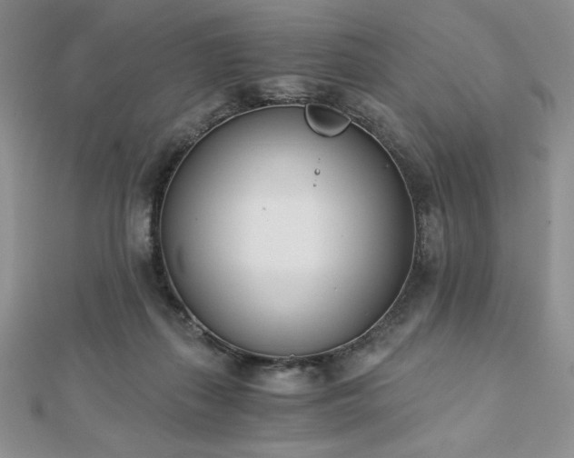 X0000113170267200909041328