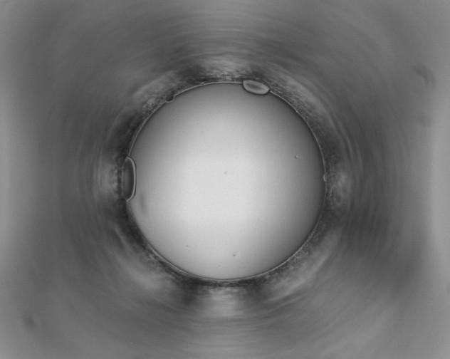 X0000113170268200909041328
