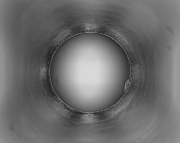 X0000113170269200909041328