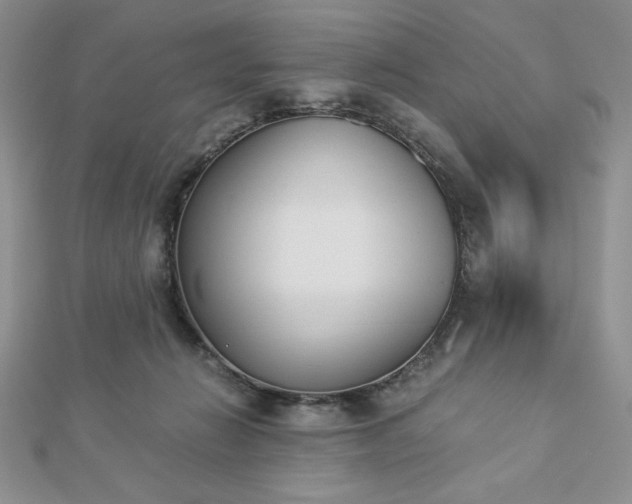 X0000113170270200909041328