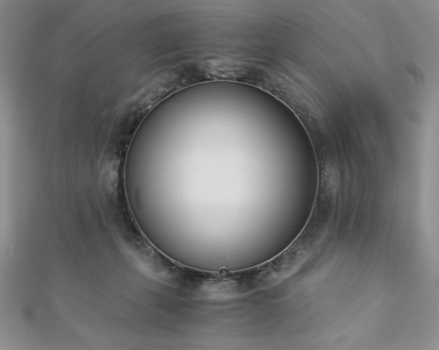 X0000113170271200909041328