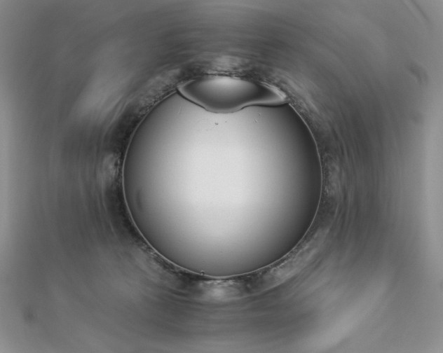 X0000113170273200909041328