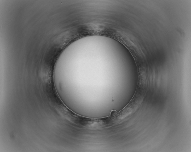 X0000113170274200909041328
