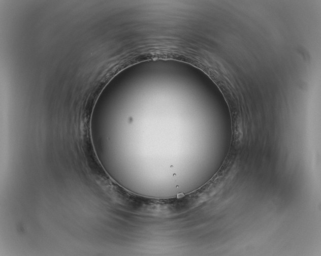 X0000113170276200909041328