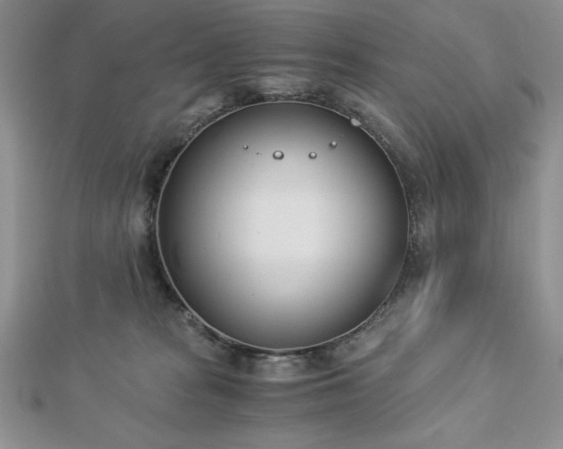 X0000113170277200909041328