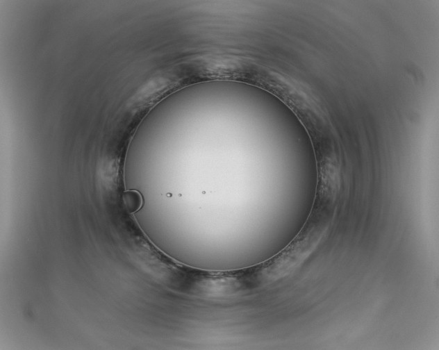 X0000113170278200909041328