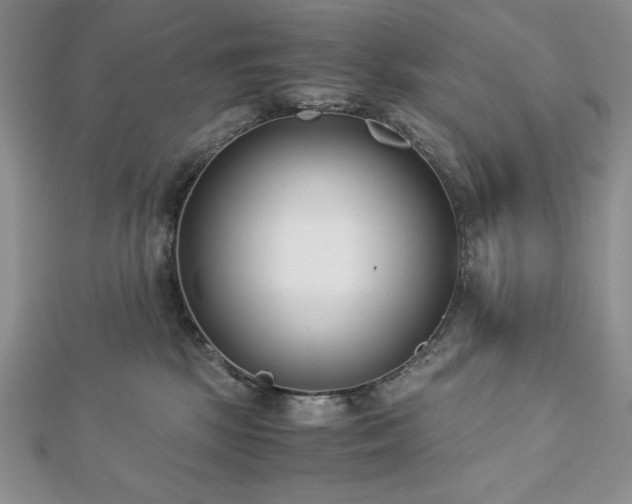 X0000113170281200909041328