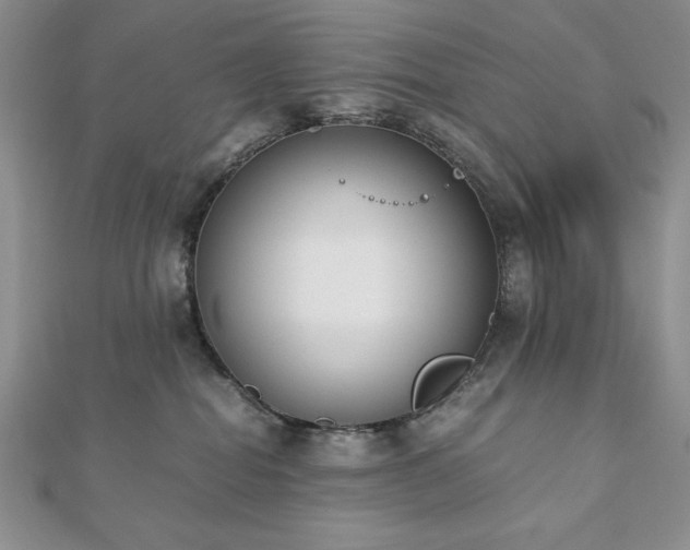 X0000113170282200909041328