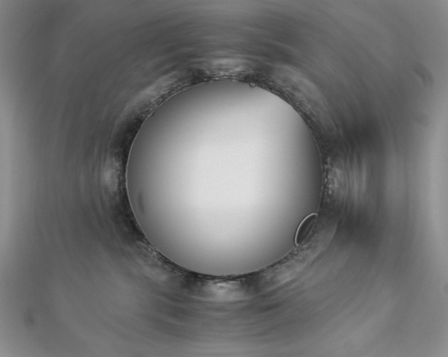 X0000113170283200909041328