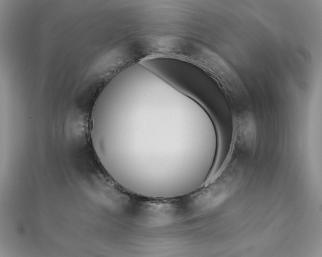 X0000113170284200909041328