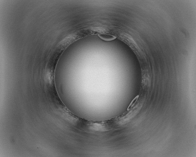 X0000113170285200909041328