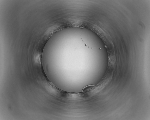 X0000113170286200909041328