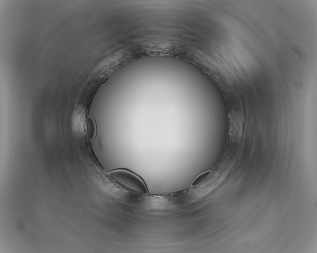 X0000113170287200909041328