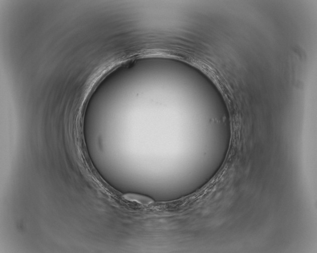 X0000113170289200909041328