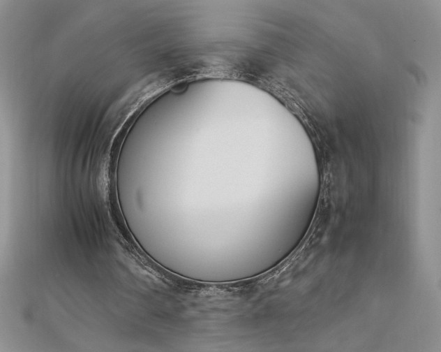 X0000113170290200909041328