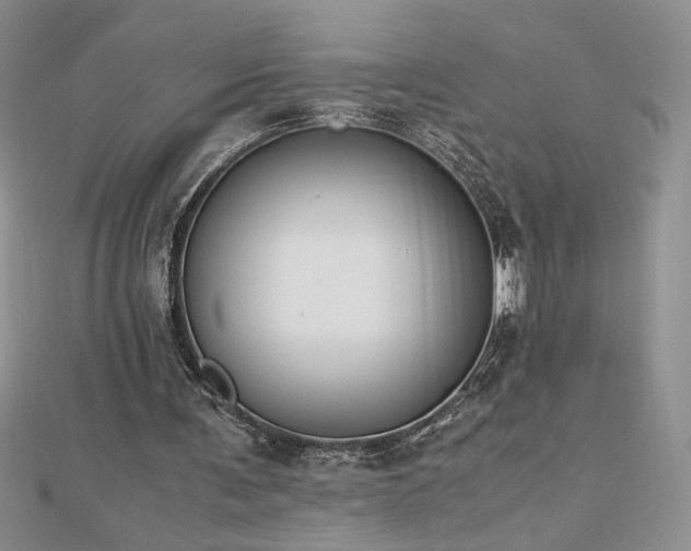 X0000113170291200909041328