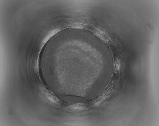 X0000113170292200909041328