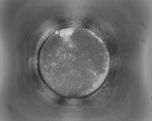 X0000113170293200909041328