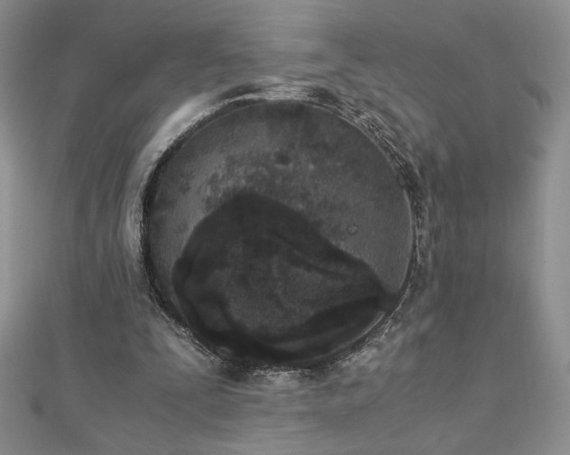 X0000113170295200909041328