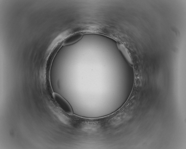 X0000113170296200909041328