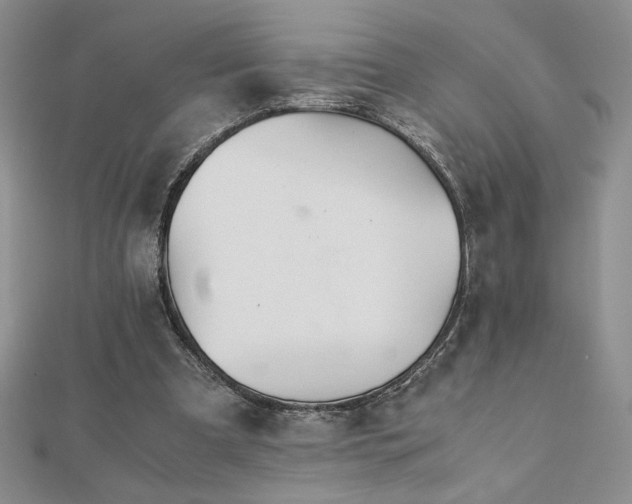 X0000113170297200909041328