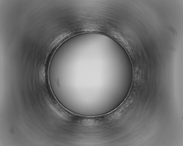 X0000113170298200909041328