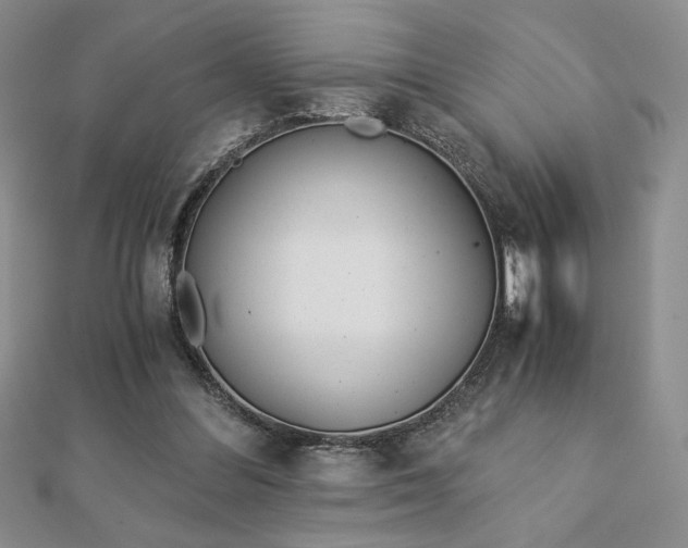 X0000113170300200909041328