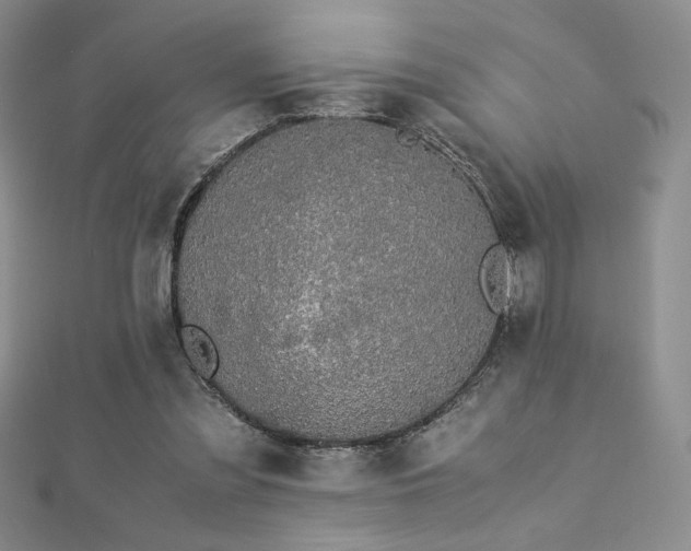 X0000113170301200909041328