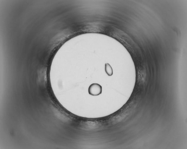 X0000113170302200909041328