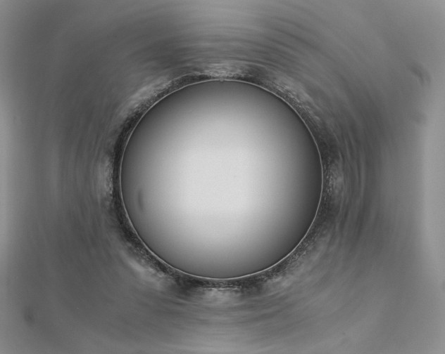 X0000113170303200909041328