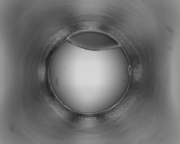 X0000113170304200909041328