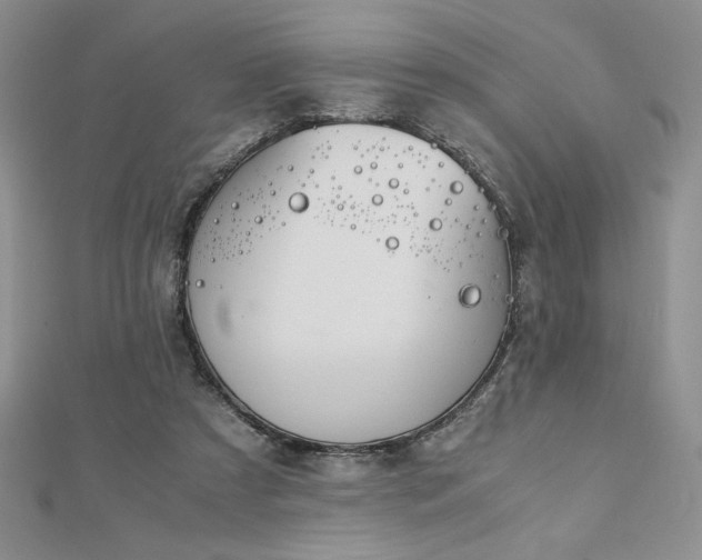 X0000113170305200909041328