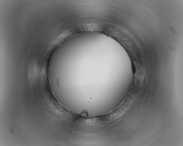 X0000113170306200909041327