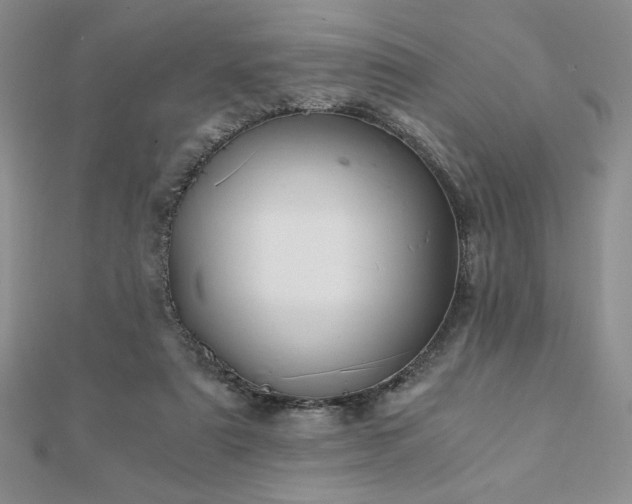 X0000113170307200909041327