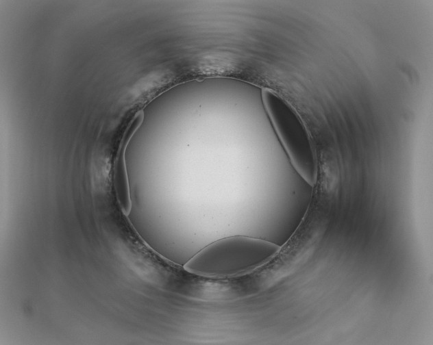 X0000113170308200909041327