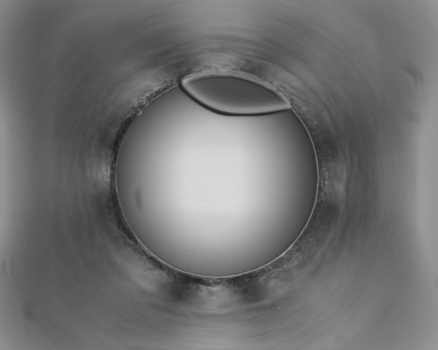 X0000113170309200909041327