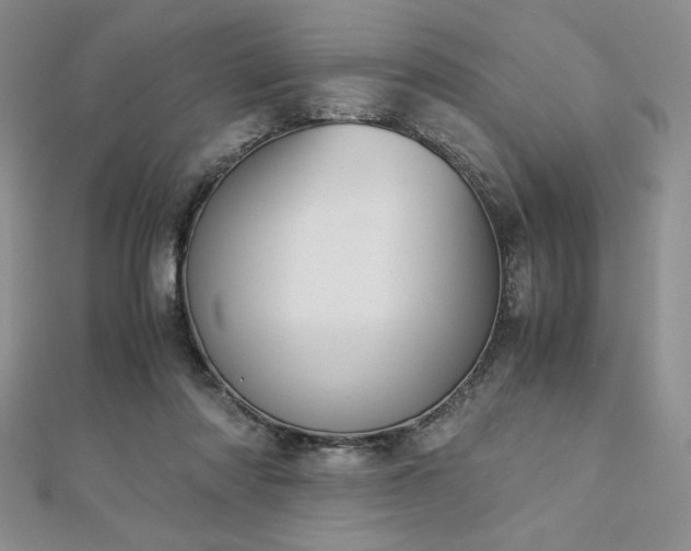 X0000113170310200909041327