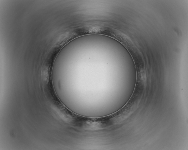 X0000113170311200909041327